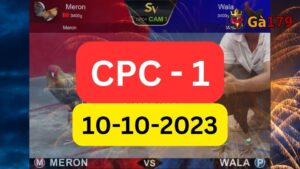 Xem đá gà CPC1 10-10-2023