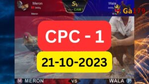 Xem đá gà CPC1 21-10-2023