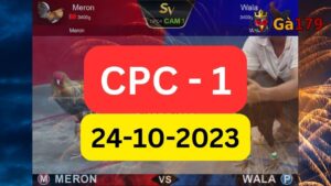 Xem đá gà CPC1 24-10-2023