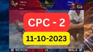 Xem đá gà CPC2 11-10-2023