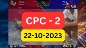Xem đá gà CPC2 22-10-2023