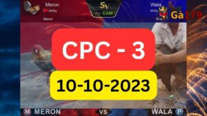 Xem đá gà CPC3 10-10-2023