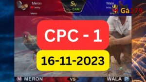 Xem đá gà CPC1 16-11-2023