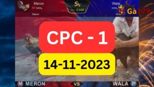 Xem đá gà CPC1 14-11-2023