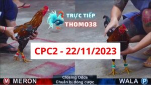 Xem đá gà CPC2 22-11-2023