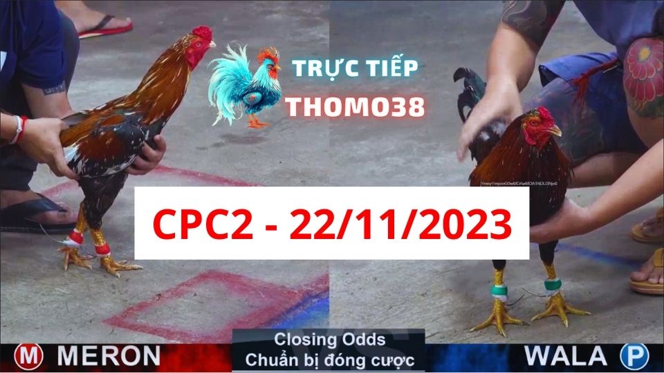 Xem đá gà CPC2 22-11-2023