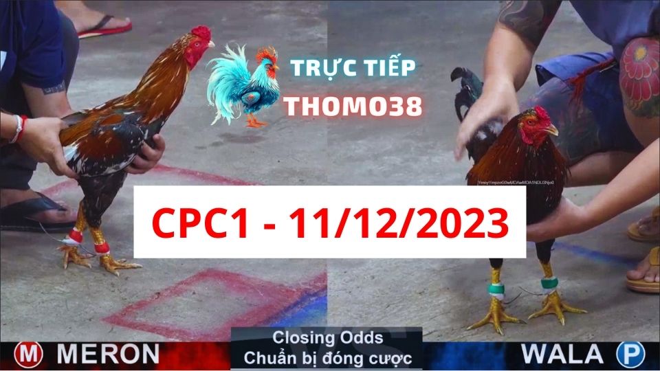 Xem đá gà CPC1 11-12-2023