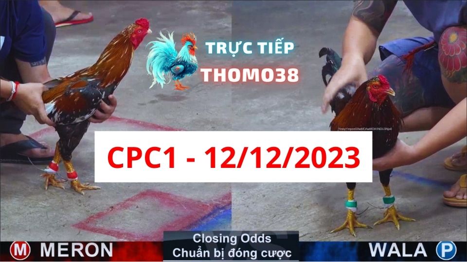 Xem đá gà CPC1 12-12-2023