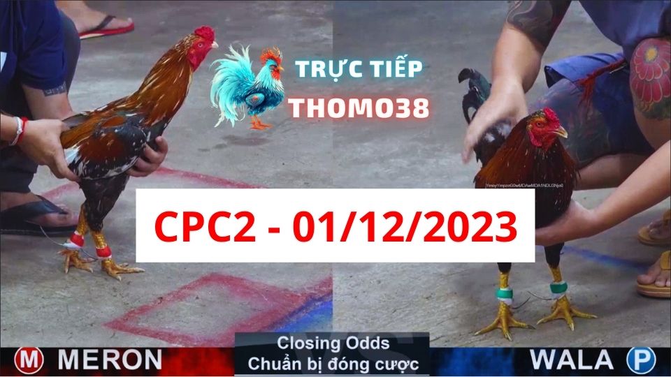 Xem đá gà CPC2 01-12-2023