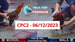 Xem đá gà CPC2 06-12-2023