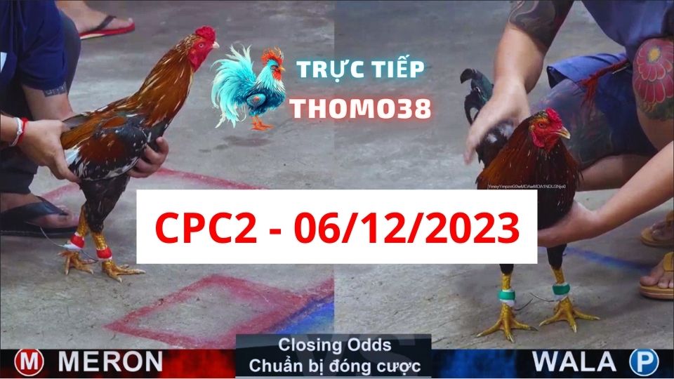 Xem đá gà CPC2 06-12-2023