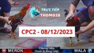 Xem đá gà CPC2 08-12-2023