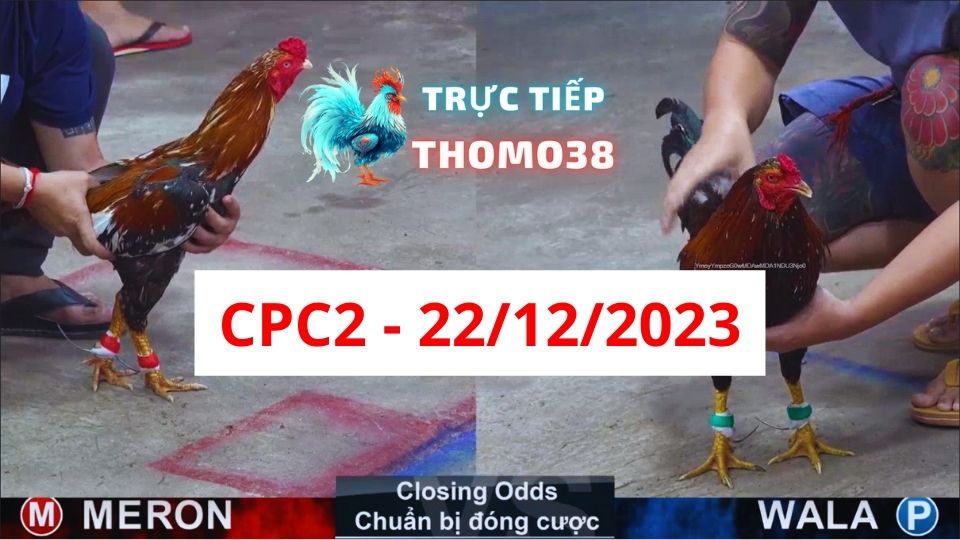 Xem đá gà CPC2 22-12-2023