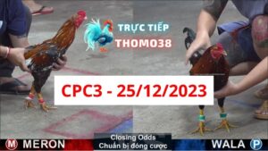 Xem đá gà CPC3 25-12-2023