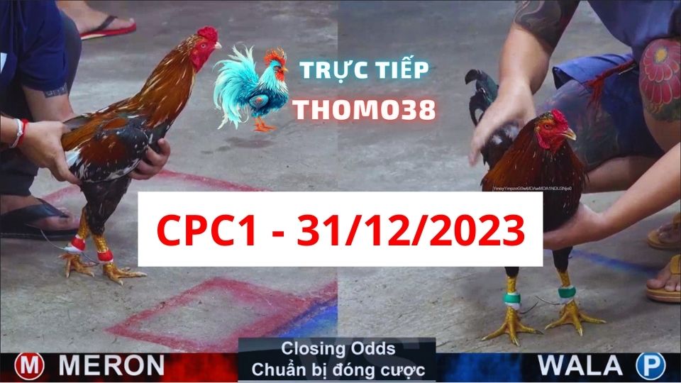 Xem đá gà CPC1 31-12-2023