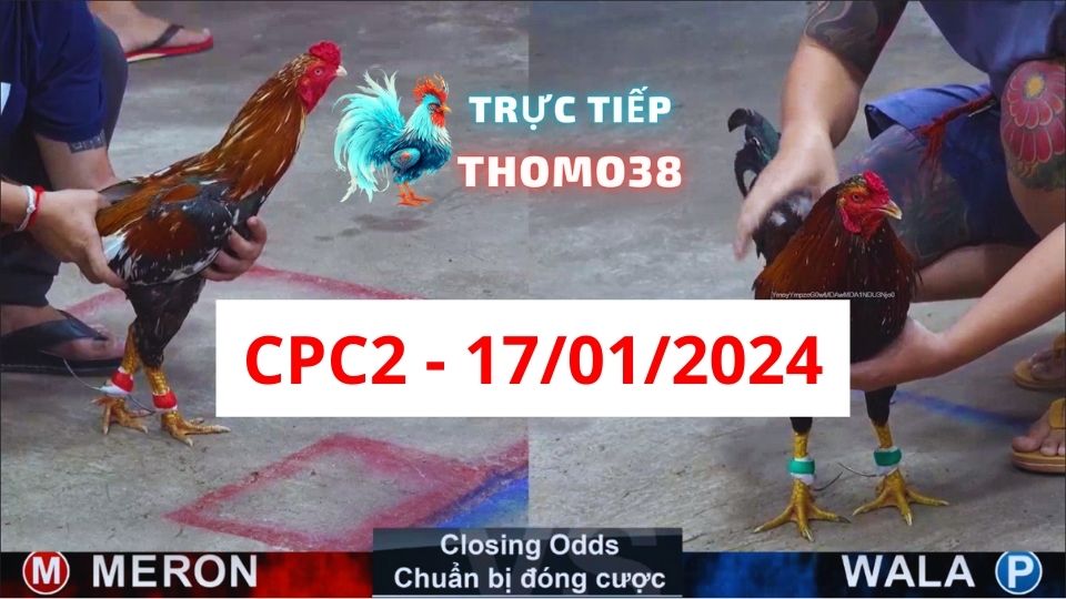 Xem đá gà CPC2 17-01-2024