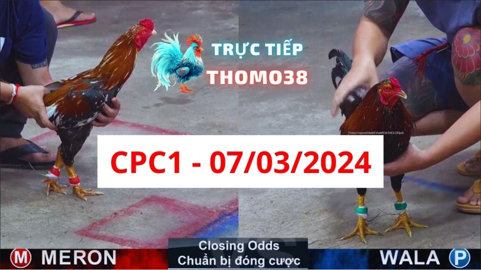 Xem đá gà CPC1 07-03-2024