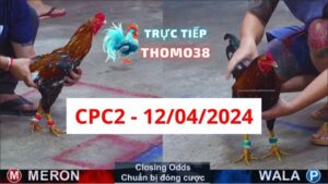 Xem đá gà CPC2 12-04-2024