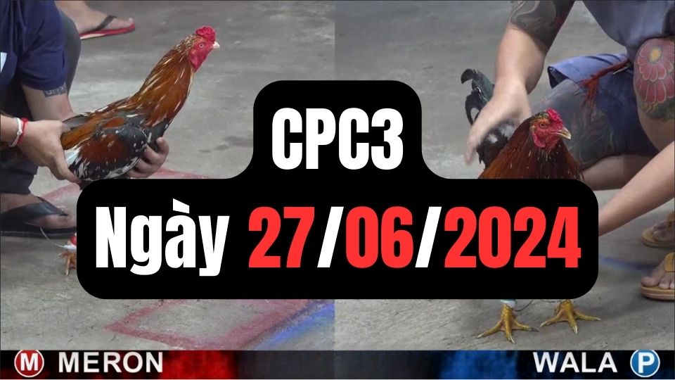 Xem đá gà CPC3 27-06-2024