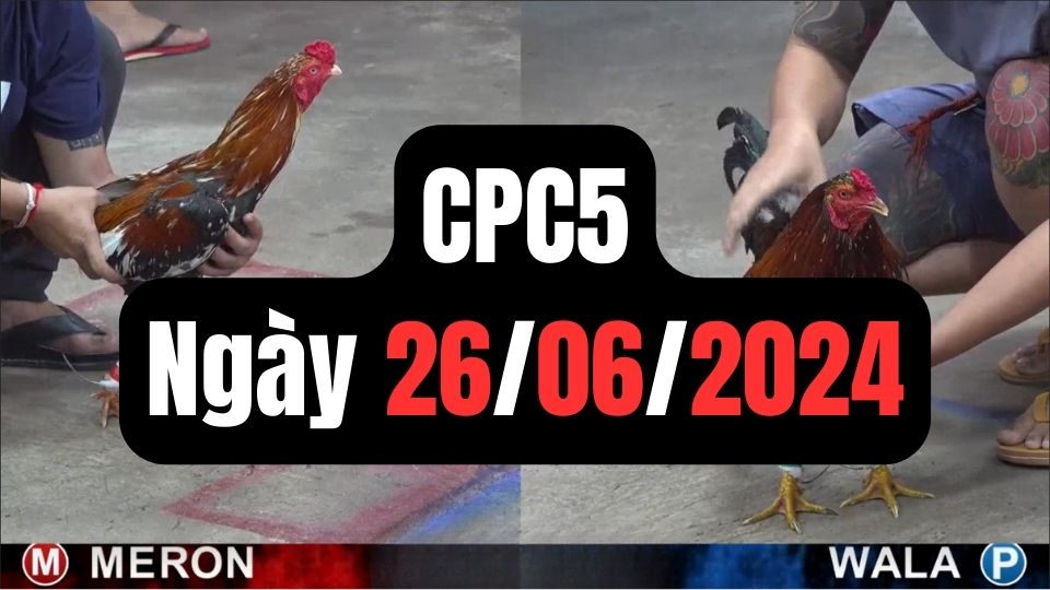 Xem đá gà CPC5 26-06-2024