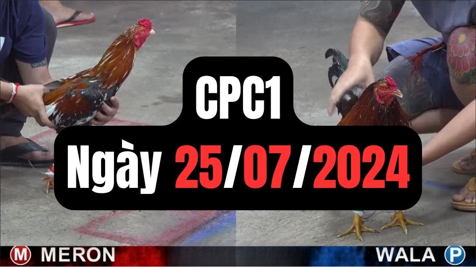Xem đá gà CPC1 25-07-2024