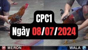 Xem đá gà CPC1 08-07-2024
