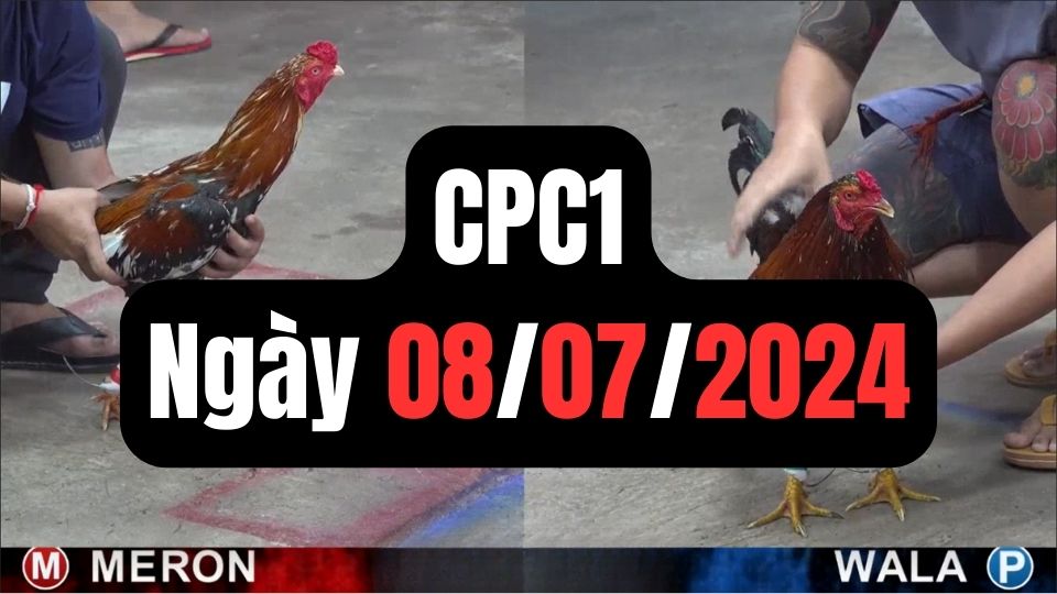 Xem đá gà CPC1 08-07-2024