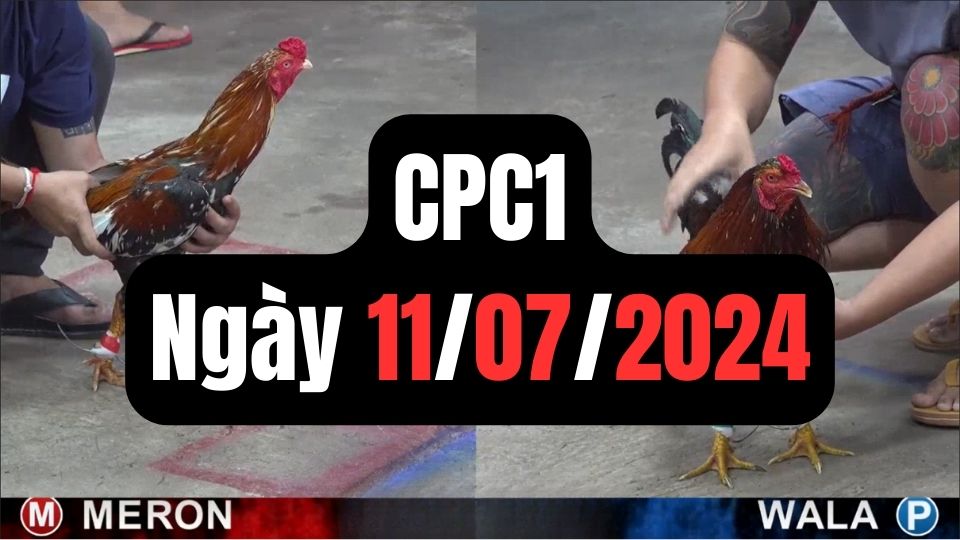 Xem đá gà CPC1 11-07-2024