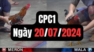 Xem đá gà CPC1 20-07-2024