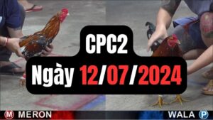 Xem đá gà CPC2 12-07-2024