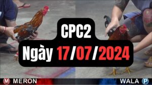 Xem đá gà CPC2 17-07-2024