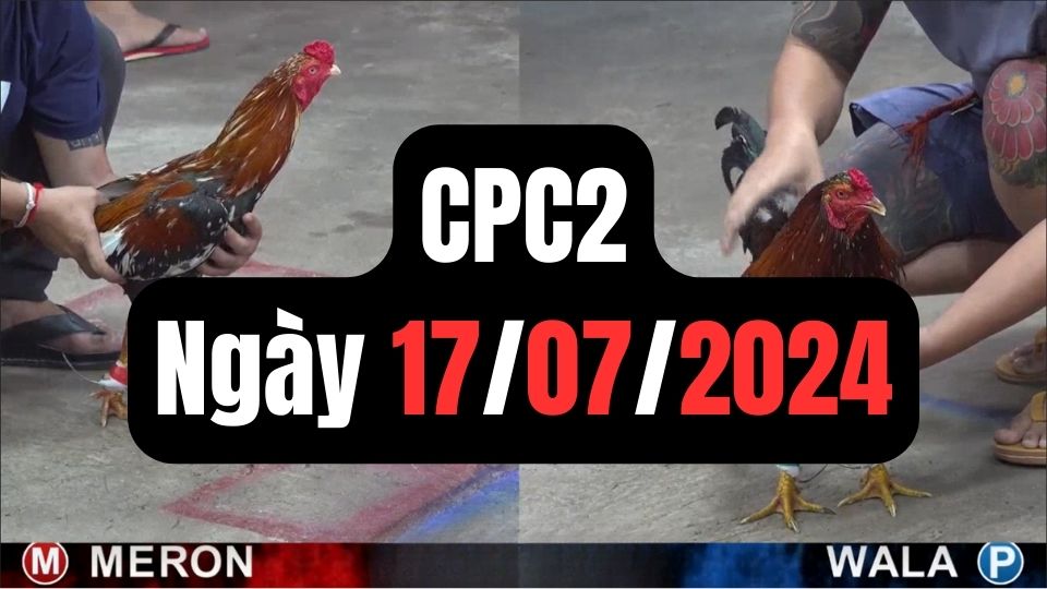 Xem đá gà CPC2 17-07-2024