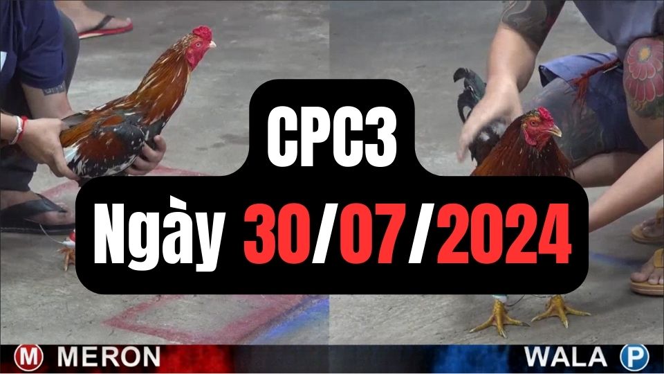 Xem đá gà CPC3 30-07-2024