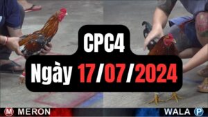 Xem đá gà CPC4 17-07-2024