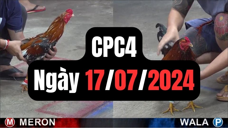 Xem đá gà CPC4 17-07-2024