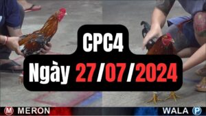 Xem đá gà CPC4 27-07-2024
