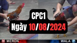 Xem đá gà CPC1 10-08-2024