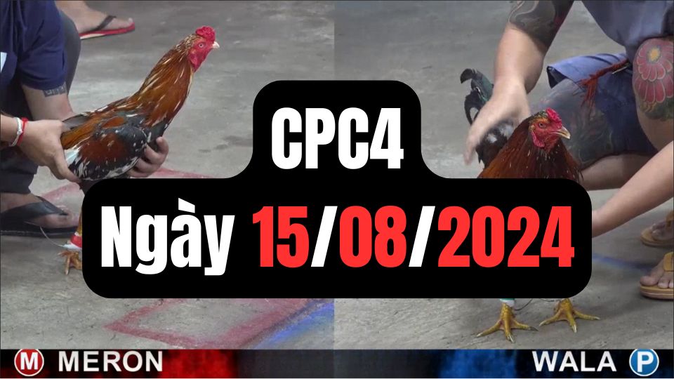 Xem đá gà CPC4 15-08-2024