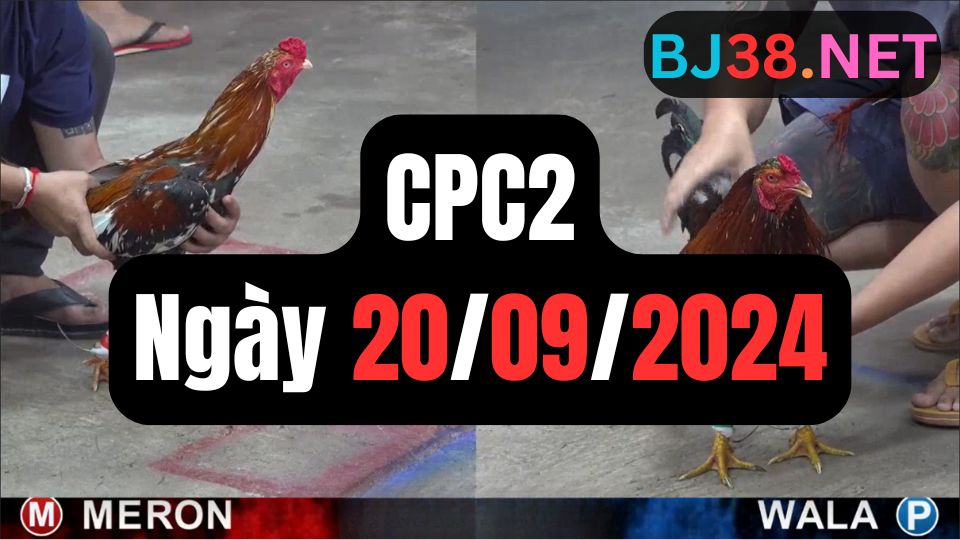 Xem đá gà CPC2 20-09-2024