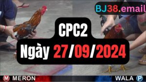 Xem đá gà CPC2 27-09-2024