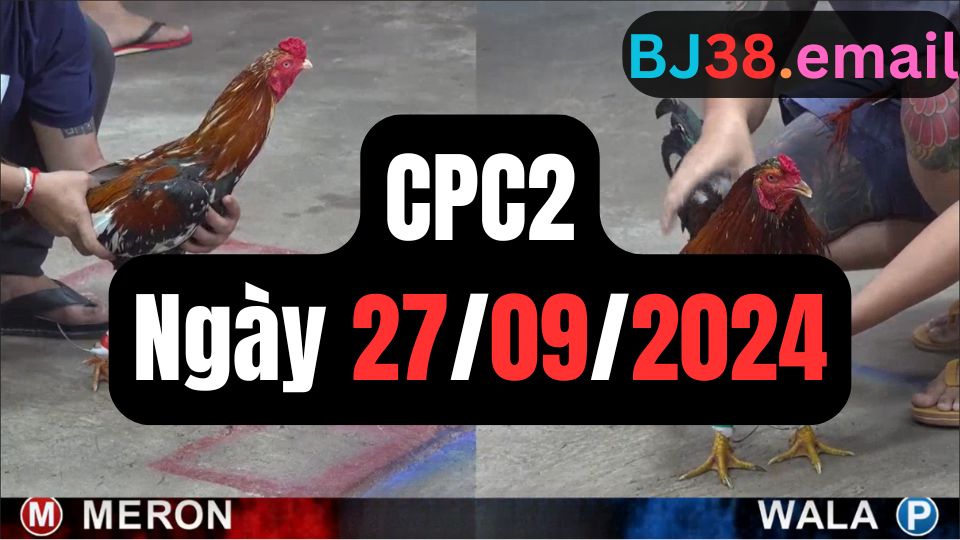 Xem đá gà CPC2 27-09-2024