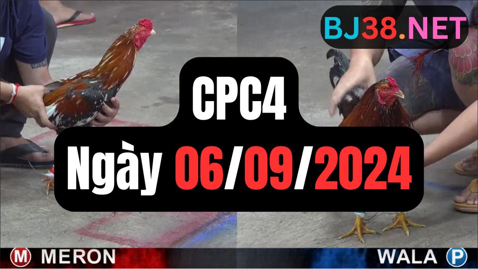 Xem đá gà CPC4 06-09-2024