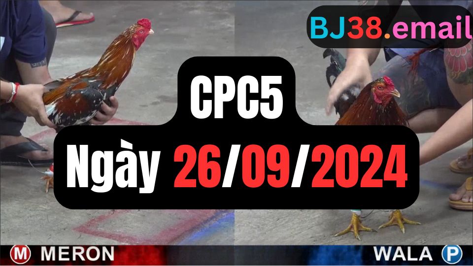 Xem đá gà CPC5 26-09-2024