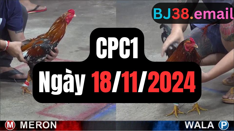 Xem đá gà CPC1 18-11-2024