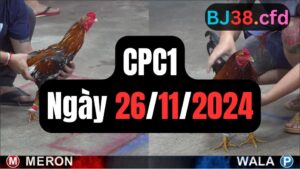 Xem đá gà CPC1 26-11-2024
