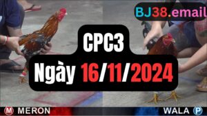 Xem đá gà CPC3 16-11-2024