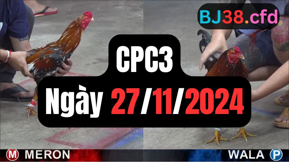 Xem đá gà CPC3 27-11-2024