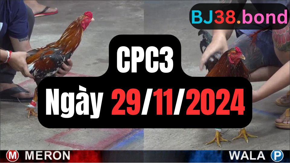 Xem đá gà CPC3 29-11-2024