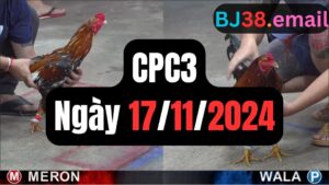 Xem đá gà CPC3 17-11-2024