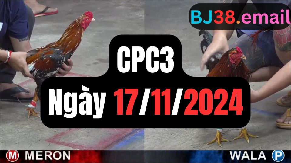 Xem đá gà CPC3 17-11-2024